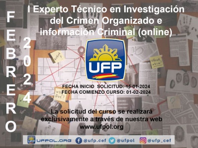 i_experto_tecnico_en_investigacion_del_crimen_organizado_e_informacion_criminal_2070638891